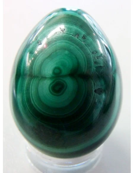Malachite oeuf 25mm