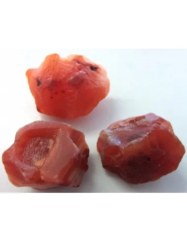 Cornaline brute Indienne