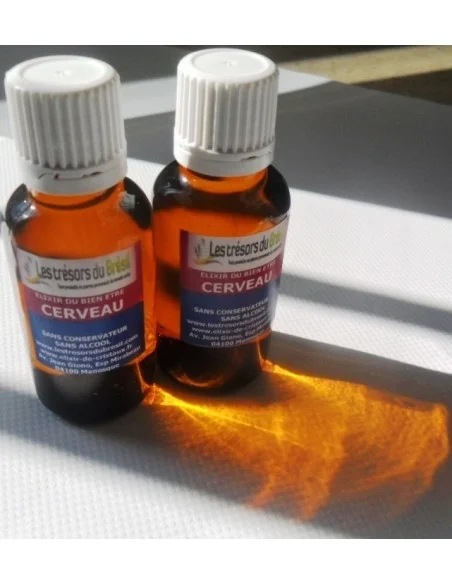 Elixir - Cerveau 30ml