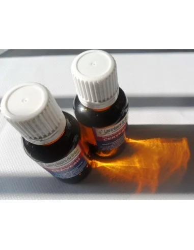 Elixir - Cerveau 30ml