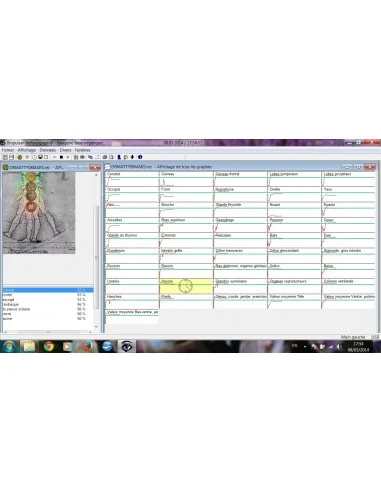 Elixir - Cerveau 30ml