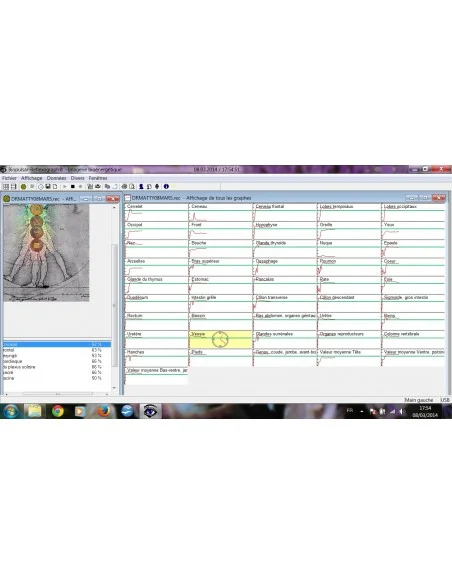 Elixir - Cerveau 30ml Elixir - Cerveau 30ml