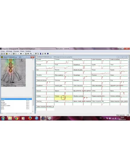 Elixir - Cerveau 30ml Elixir - Cerveau 30ml