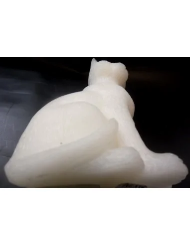 Chat blanc en agate