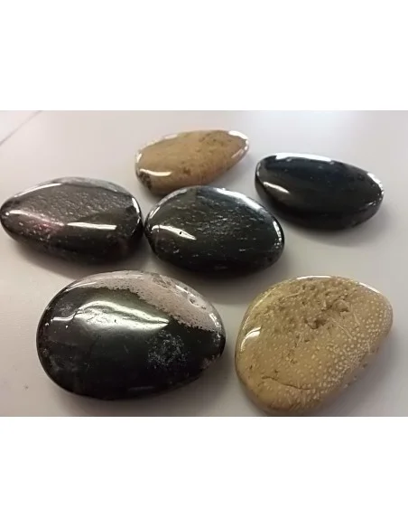 Bois fossilisé galet litotherapie