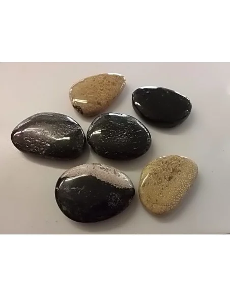 Bois fossilisé galet litotherapie