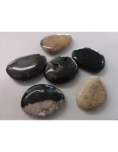 Bois fossilisé galet litotherapie