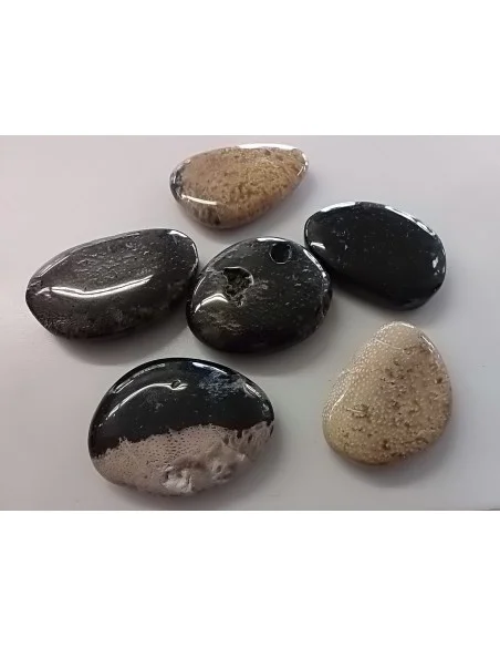 Bois fossilisé galet litotherapie