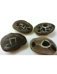 Septaria, Septarian
