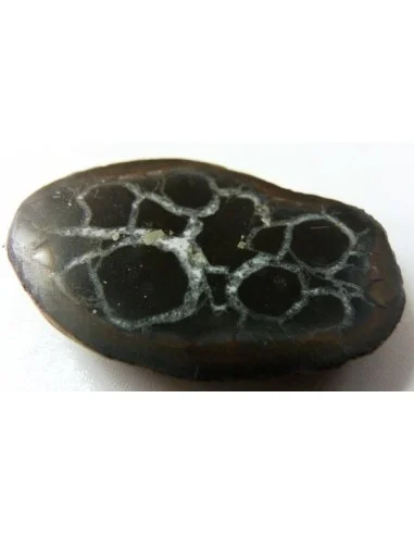 Septaria, Septarian
