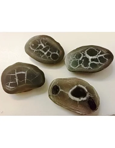 Septaria, Septarian