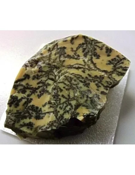 Opale dendritique mineral