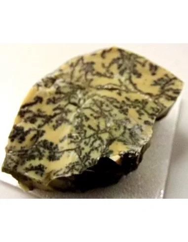 Opale dendritique mineral