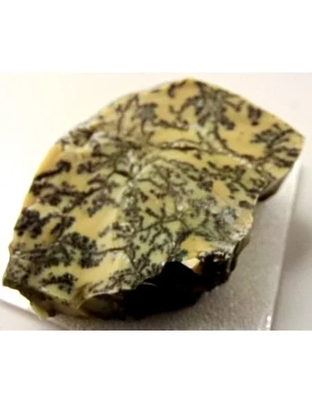 Opale dendritique mineral