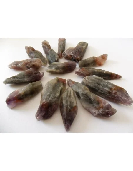 Elixir - Cerveau 30ml Elixir - Cerveau 30ml