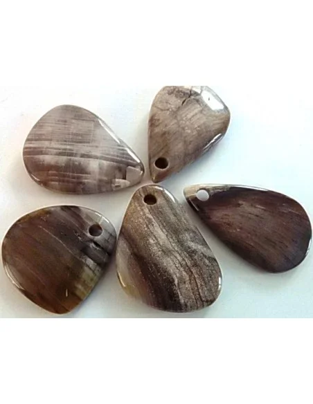 Bois fossilisé pendentif