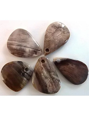 Bois fossilisé pendentif