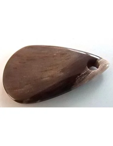 Bois fossilisé pendentif