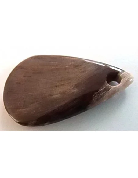 Bois fossilisé pendentif