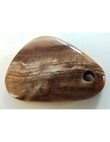 Bois fossilisé pendentif