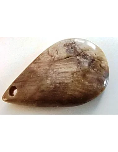 Bois fossilisé pendentif