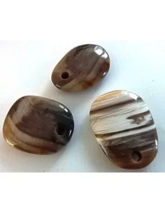 Bois fossilisé pendentif