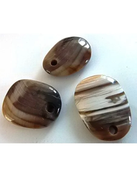 Bois fossilisé pendentif