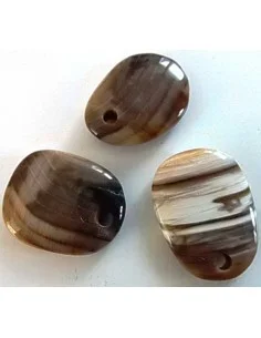 Bois fossilisé pendentif 2