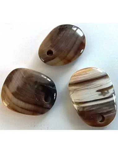 Bois fossilisé pendentif