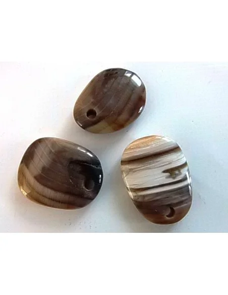 Bois fossilisé pendentif