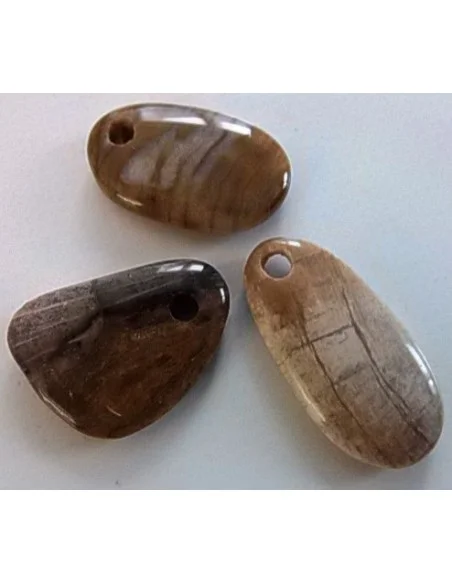 Bois fossilisé pendentif