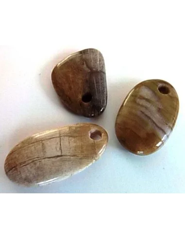 Bois fossilisé pendentif