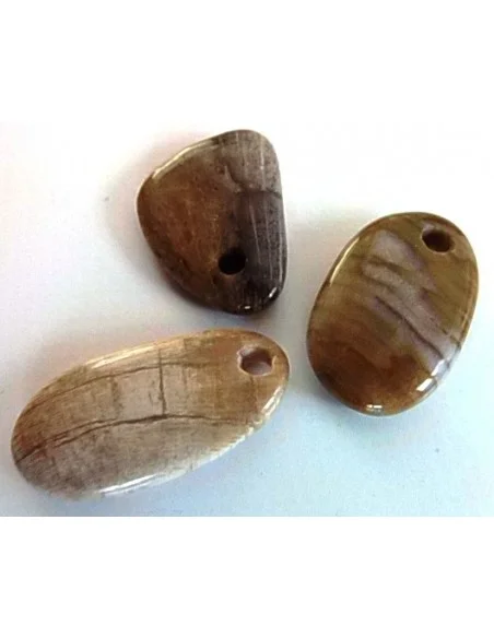 Bois fossilisé pendentif