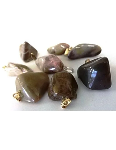 Bois fossilisé pendentif