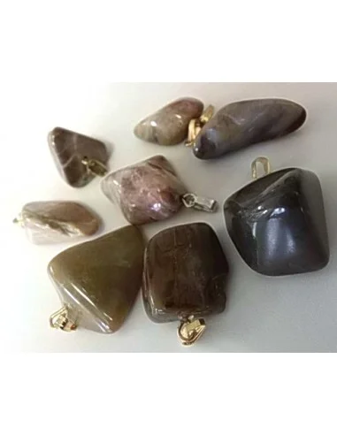 Bois fossilisé pendentif