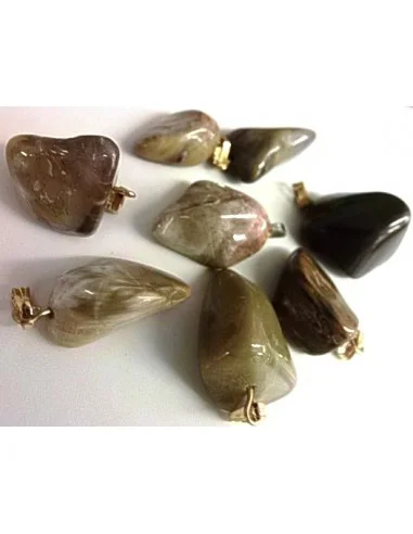 Bois fossilisé pendentif