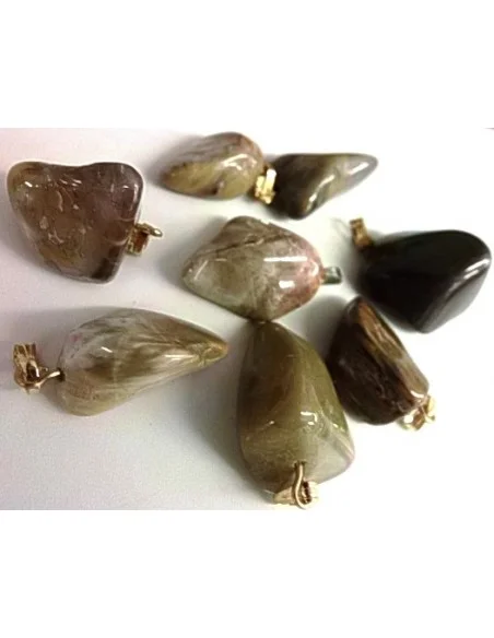 Bois fossilisé pendentif