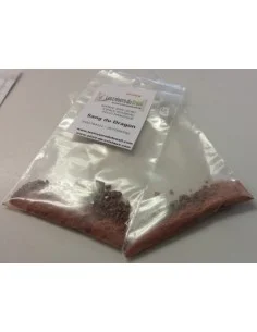 Encens sang du dragon poudre 2