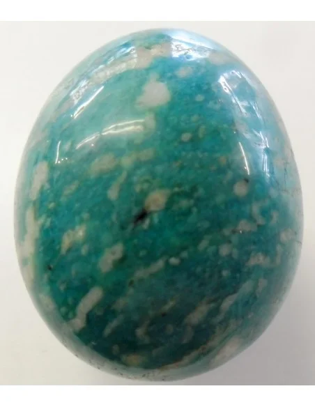 Oeuf amazonite 40 a 45mm