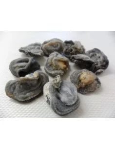Agate rosette