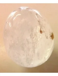 Oeuf Cristal, quartz 45 a 49mm 2