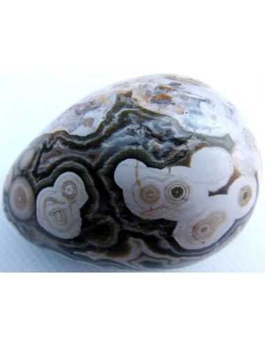 Oeuf jaspe orbiculaire  blanche mm
