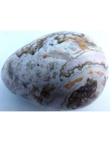 Oeuf jaspe orbiculaire  blanche mm