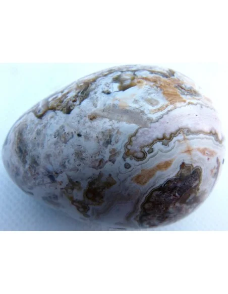 Oeuf jaspe orbiculaire  blanche mm Oeuf jaspe orbiculaire  blanche mm
