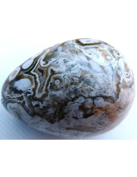 Oeuf jaspe orbiculaire  blanche mm Oeuf jaspe orbiculaire  blanche mm