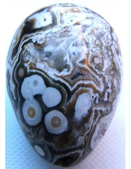 Oeuf jaspe orbiculaire  blanche mm Oeuf jaspe orbiculaire  blanche mm