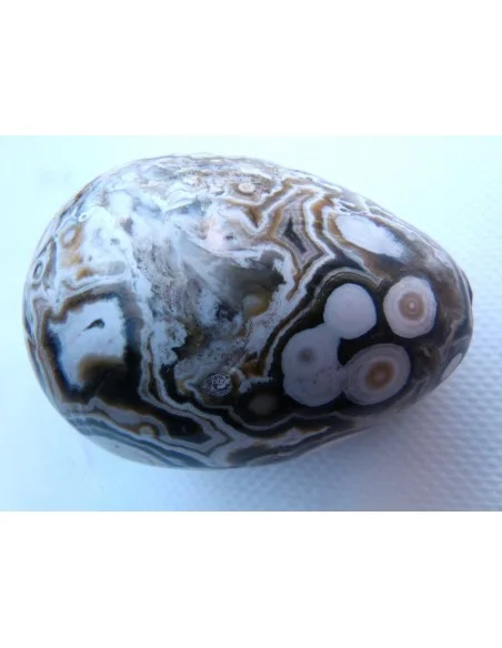 Oeuf jaspe orbiculaire  blanche mm Oeuf jaspe orbiculaire  blanche mm