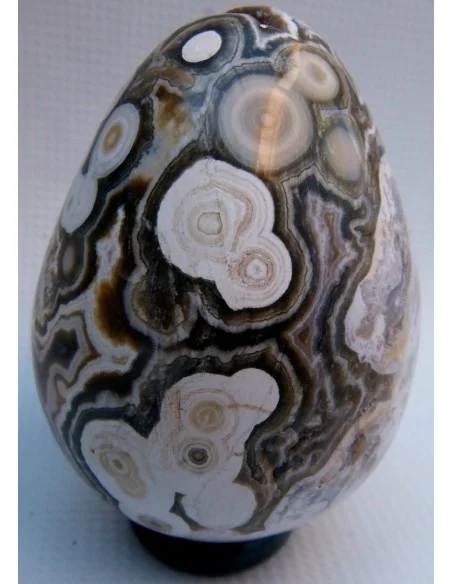 Oeuf jaspe orbiculaire  blanche mm Oeuf jaspe orbiculaire  blanche mm