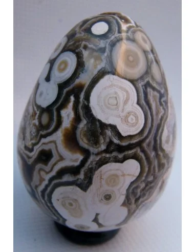 Oeuf jaspe orbiculaire  blanche mm