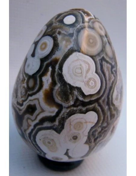 Oeuf jaspe orbiculaire  blanche mm Oeuf jaspe orbiculaire  blanche mm